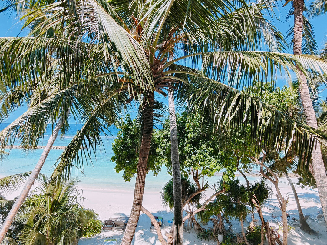 Thundi Sea View主图