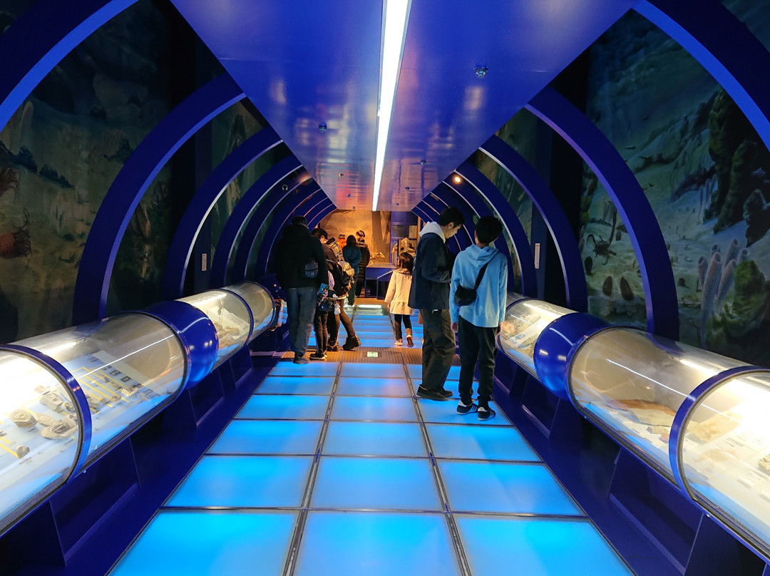 Museum Park Ibaraki Nature Museum-阪东市必去景点