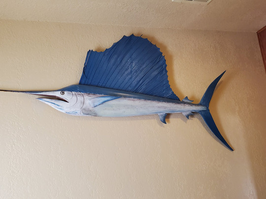 Casa de los Desperados主图