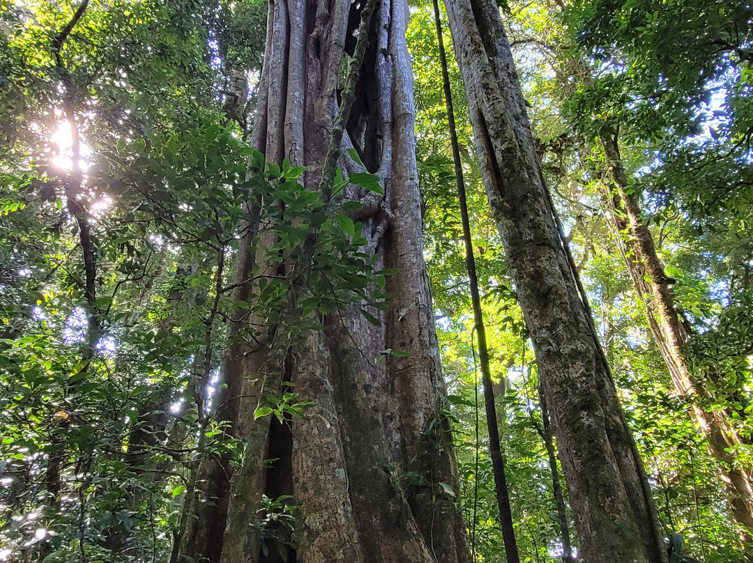 Playa Carrillo-Playa Carrillo必去景点