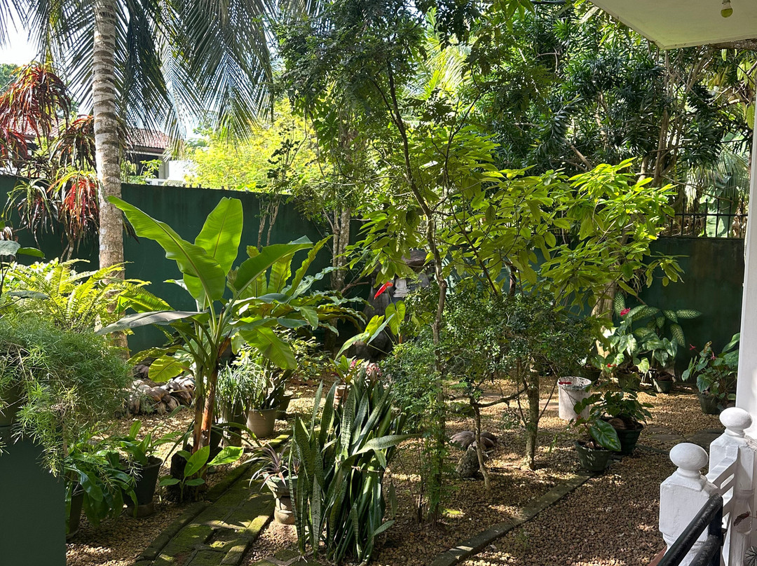 Sankarest Villa主图