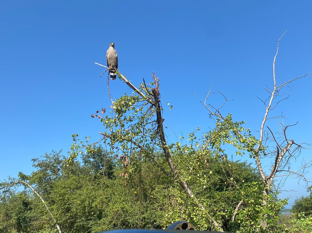 Srilanka Shami Tour Driver-乌达瓦拉瓦必去景点