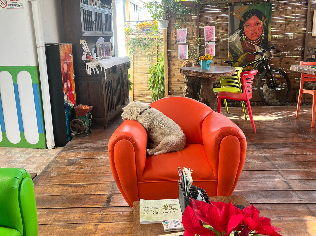 Hostal Vistaguila主图