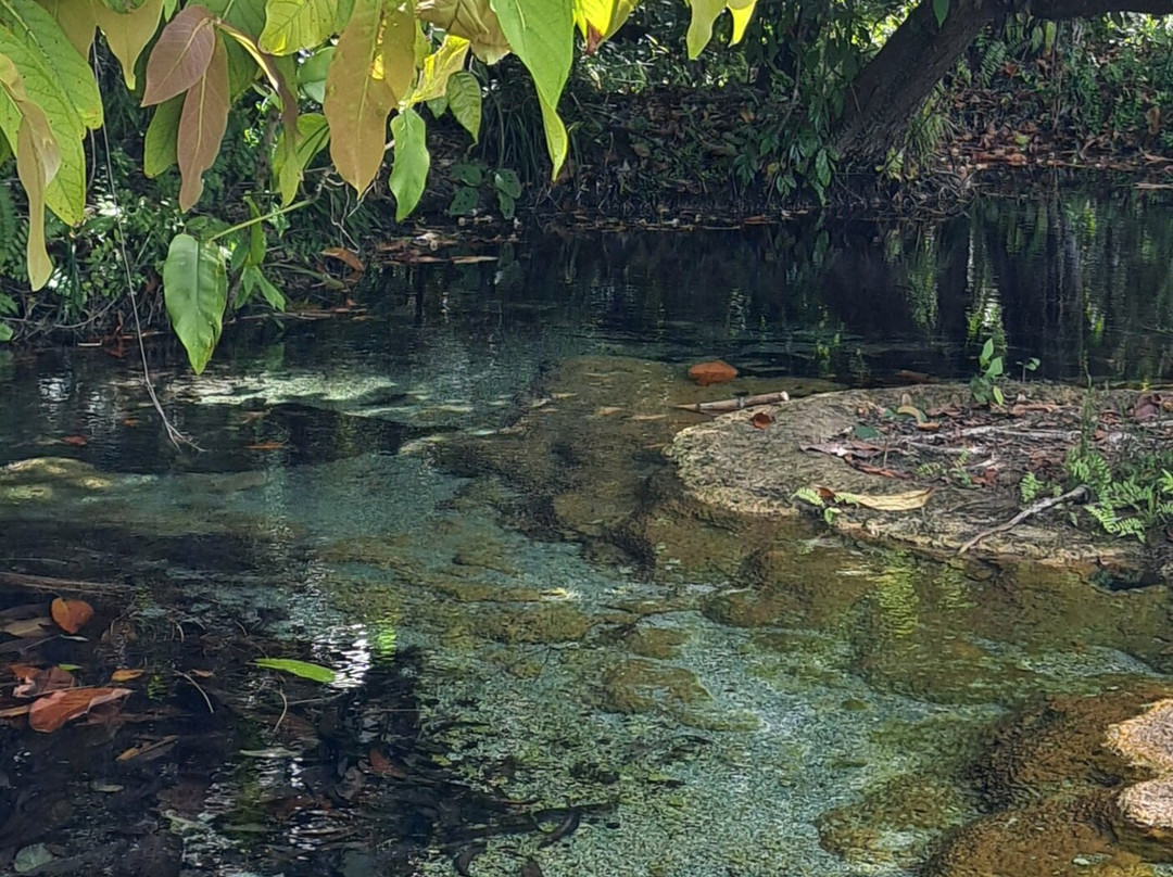 Khao Pra Bang Kharm Wildlife Sanctuary景点图片