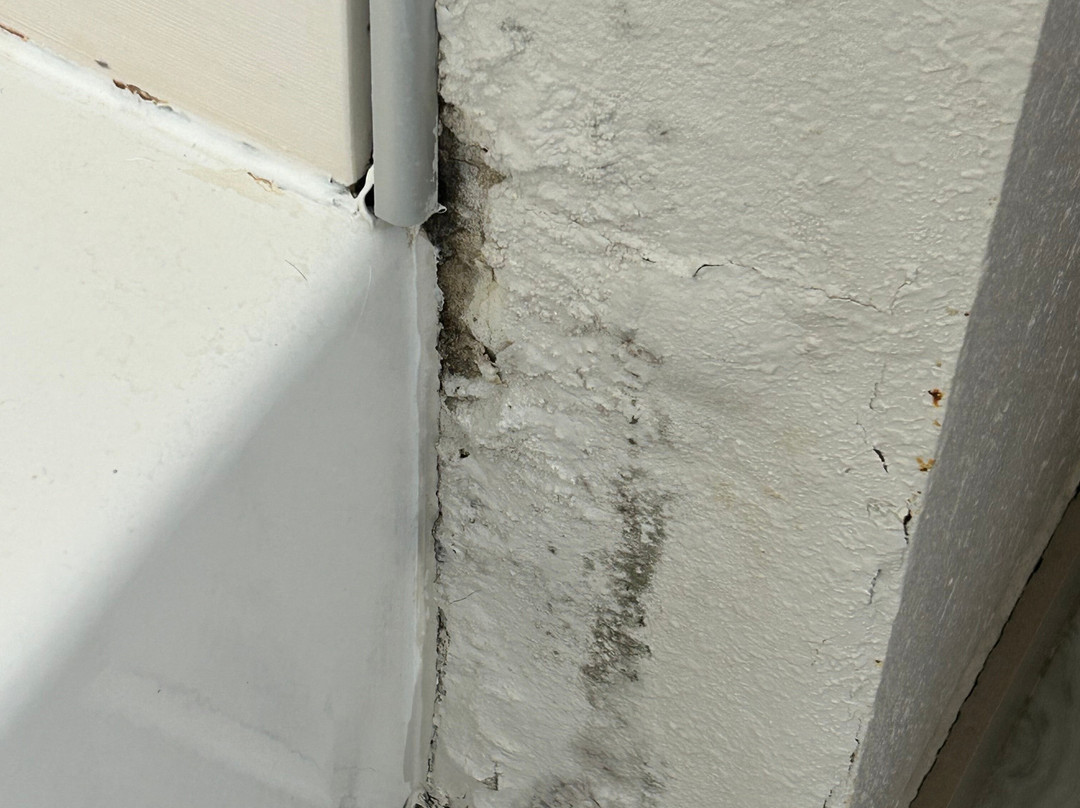 Holiday Inn Express & Suites Live Oak by IHG主图