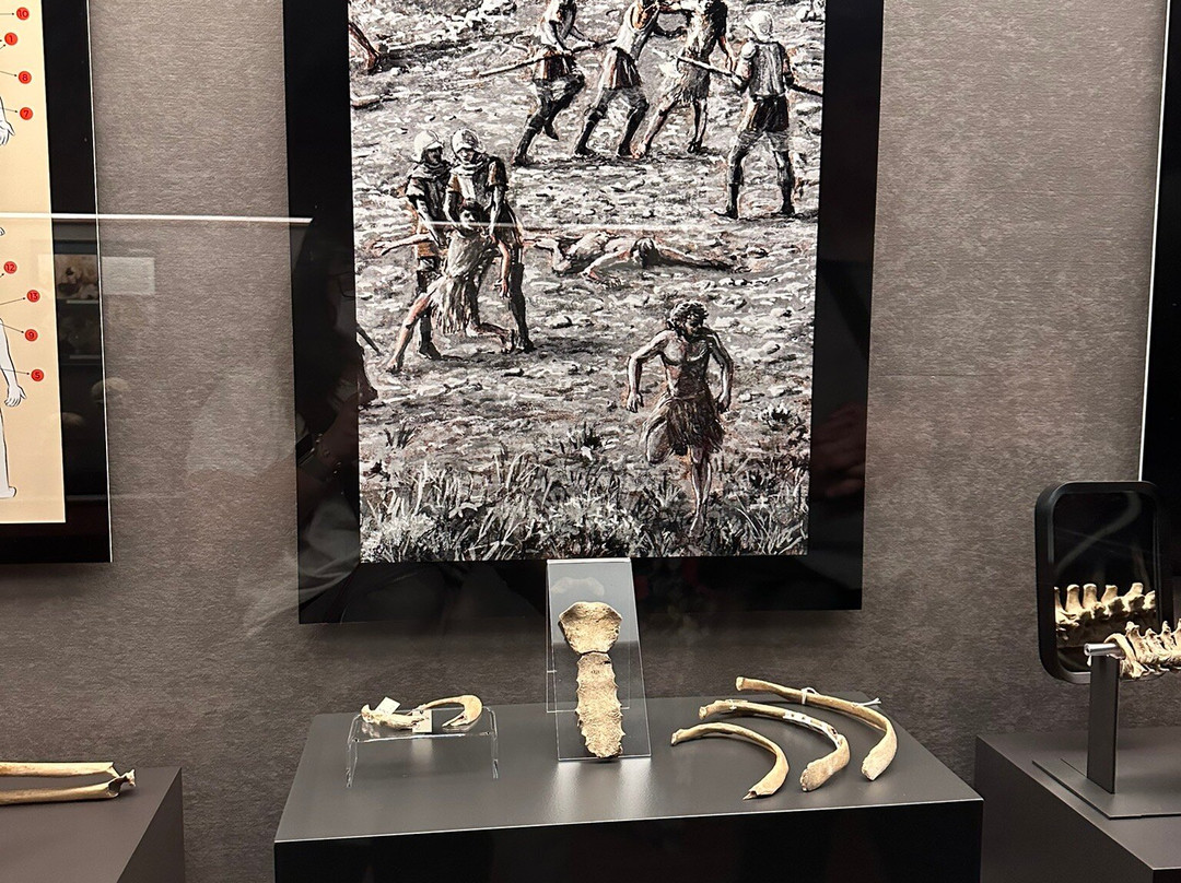 El Museo Canario景点图片