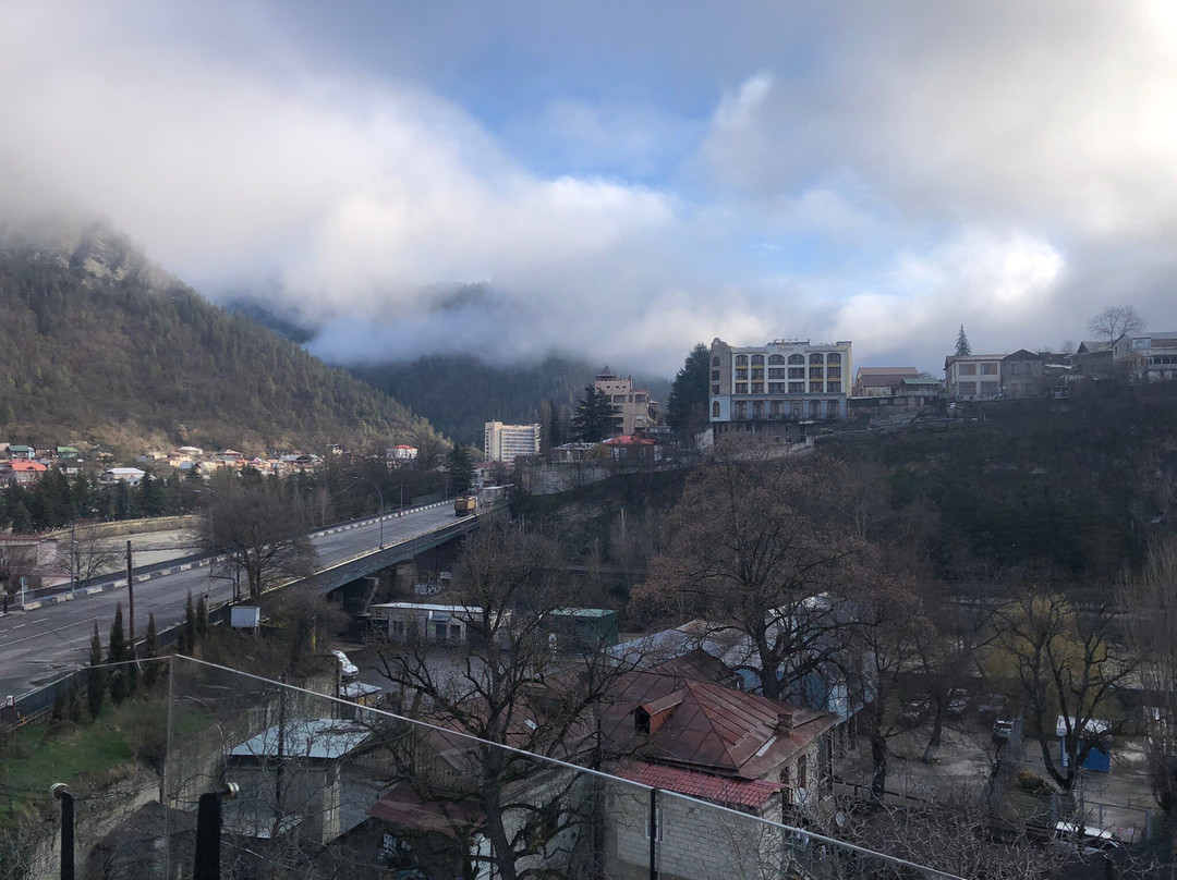 Hotel Borjomi Bridge