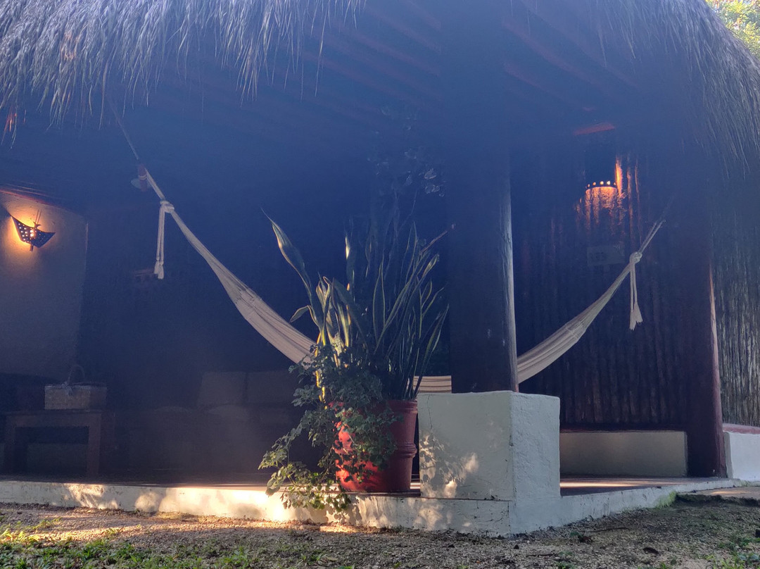 The Explorean Kohunlich主图