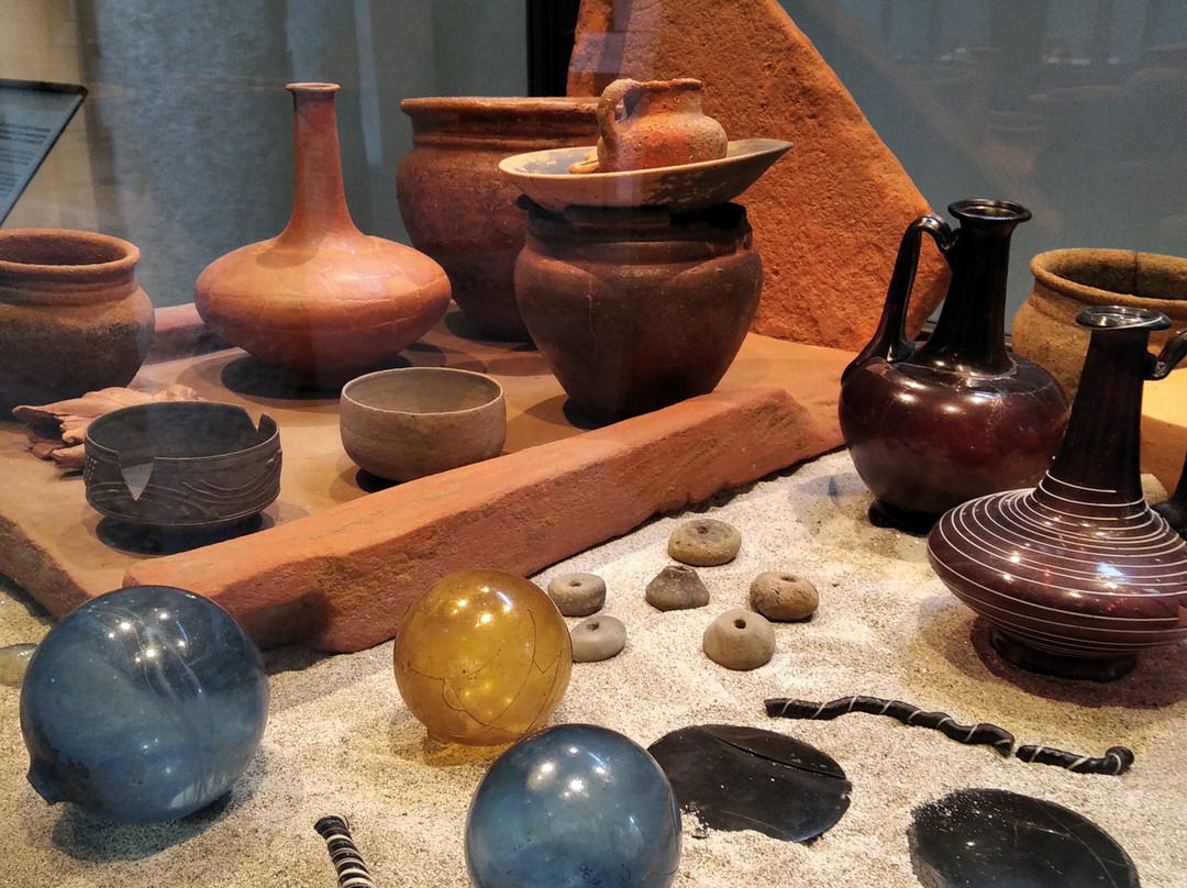 Museo Archeologico Nazionale della Lomellina景点图片