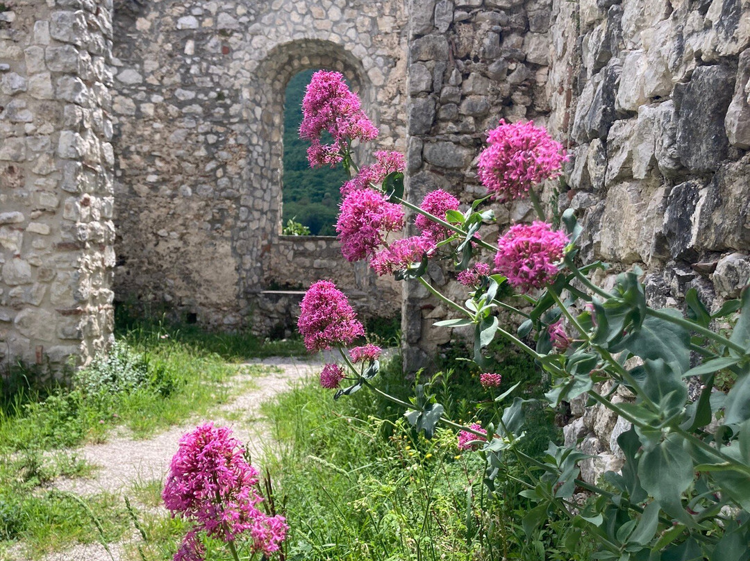 Castello Giusso景点图片