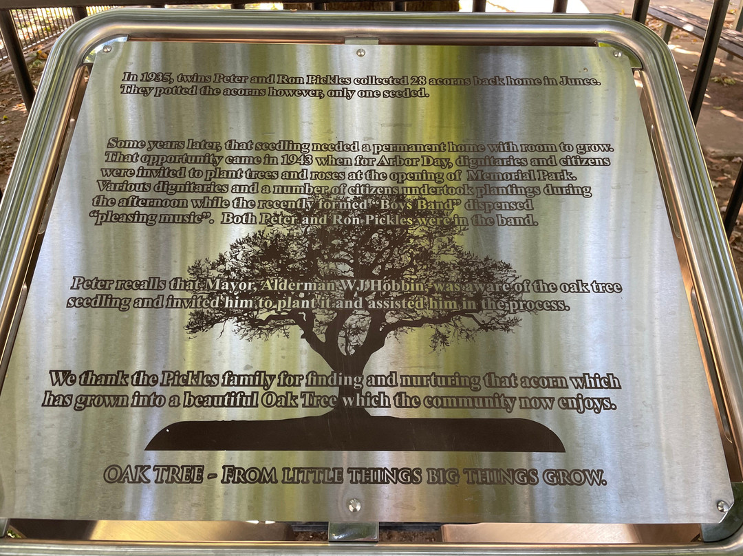 Memorial Park-Junee必去景点