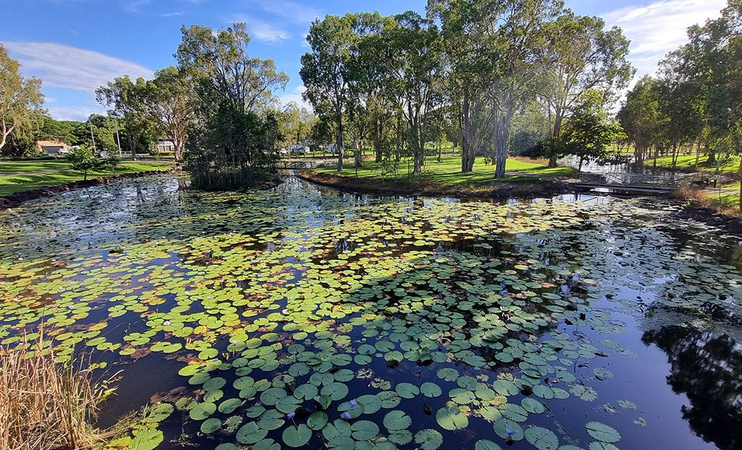 Hinchinbrook Visitor Information Centre-Ingham必去景点