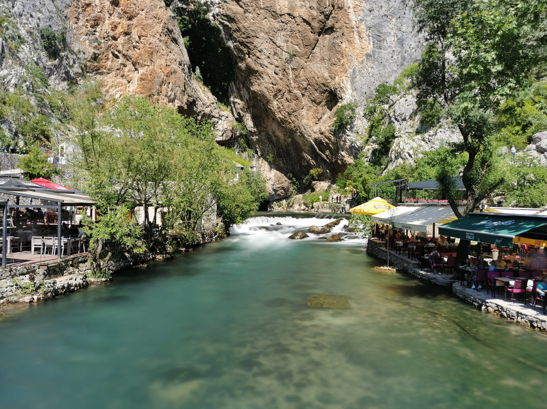 River Buna Spring景点图片
