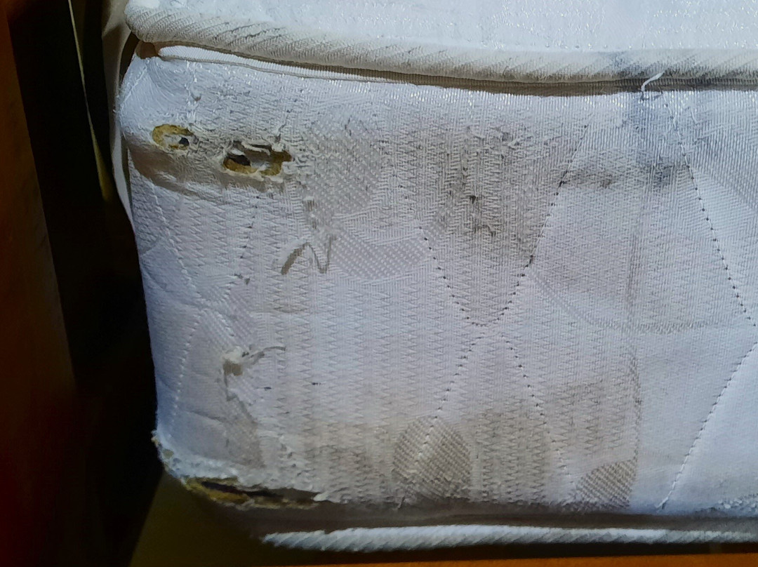 乐园塔韦马尼酒店主图