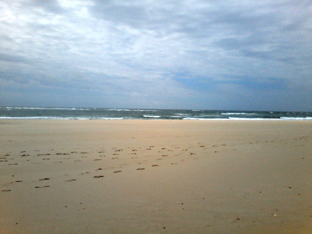 Plage de l'Horizon-Cap-Ferret必去景点