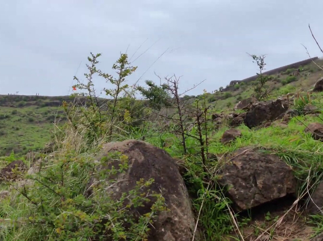 Malhargad Fort景点图片