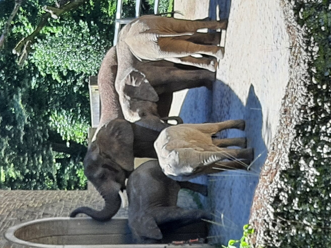 Zoo Wuppertal景点图片