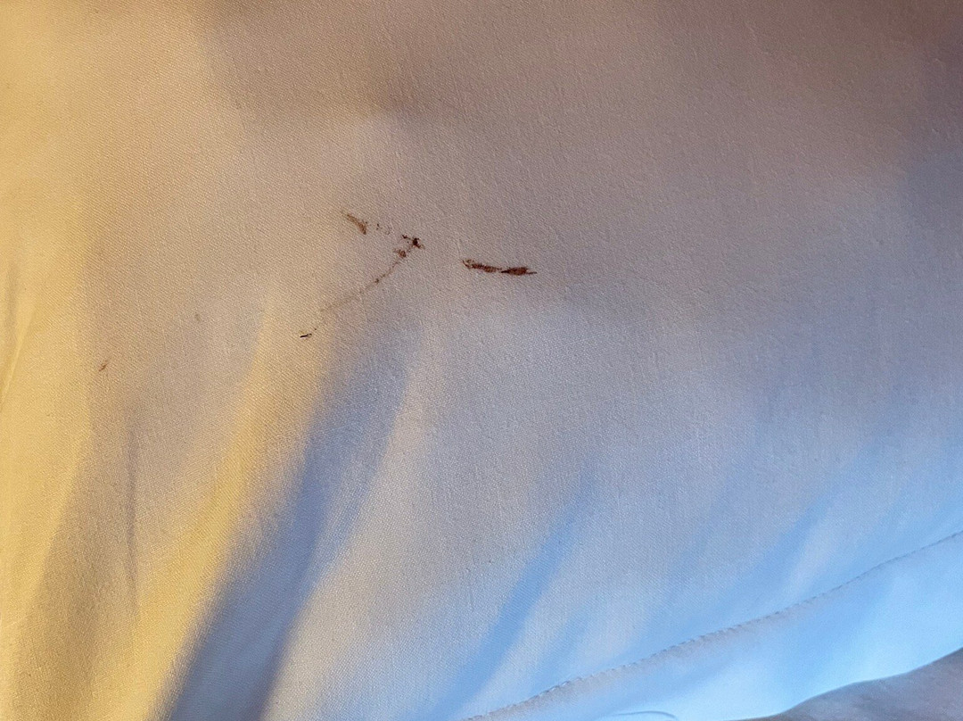 Casino Circus d'Allevard主图