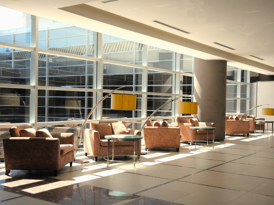 Hilton Mendoza主图