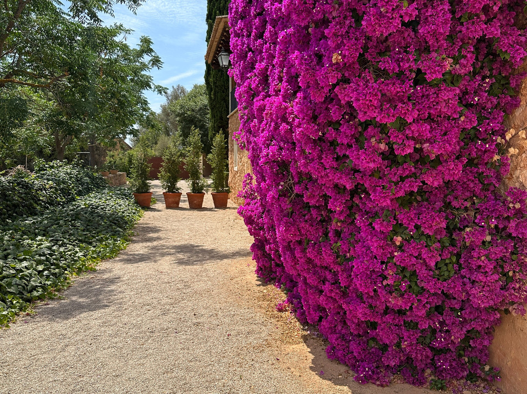 Torrent Fals Finca - Agroturismo主图