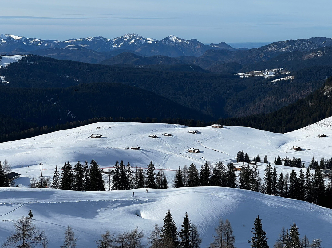 Cafe Konditorei Dankl Hotel & Restaurant主图