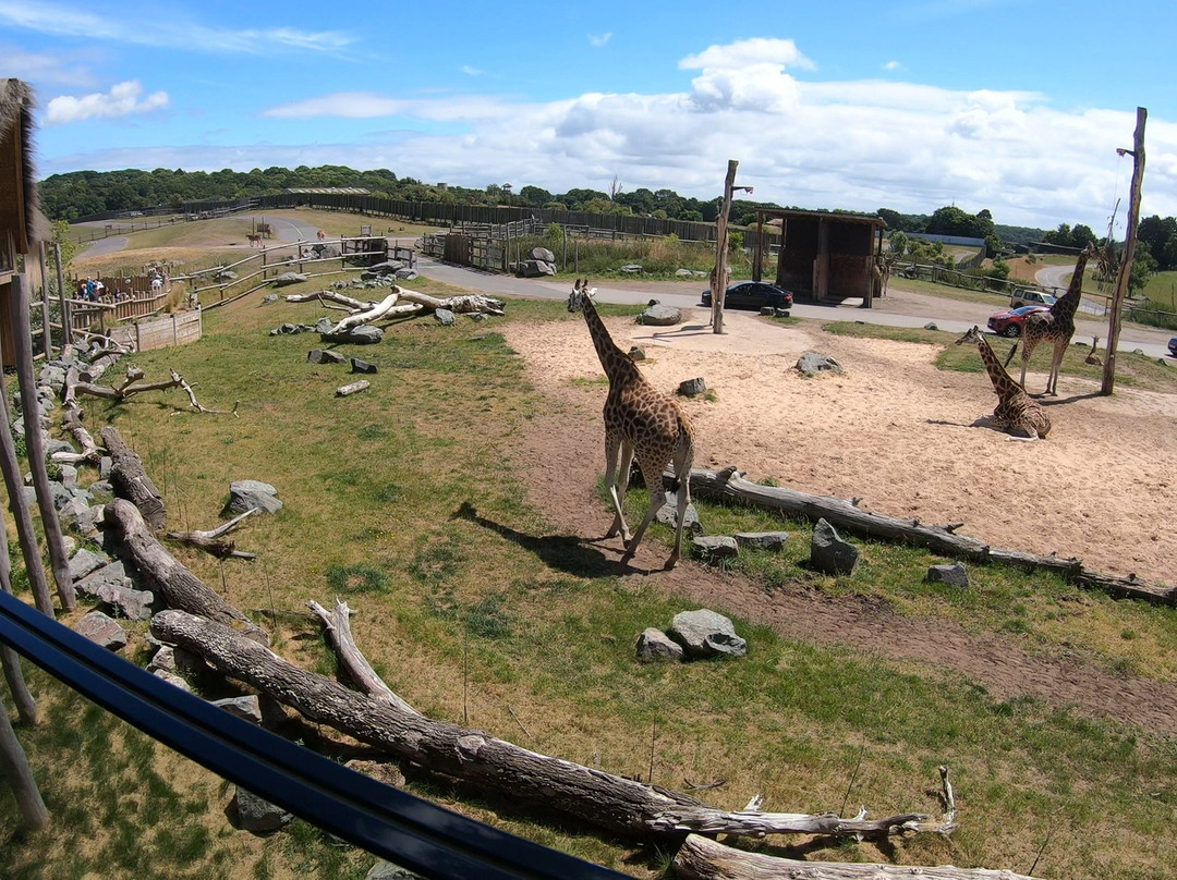 Safari Lodges At West Midlands Safari Park主图