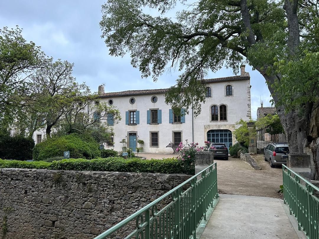 Chateau de Palaja主图