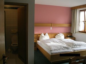 Hotel Gasthof Zum Loewen-客卧