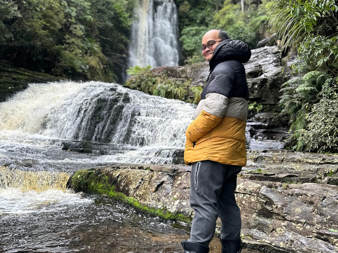 McLean Falls Walk景点图片