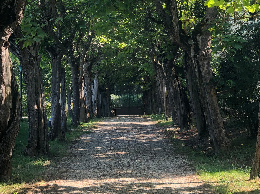 La Cedraia (Novi Ligure)-诺维利古雷必去景点