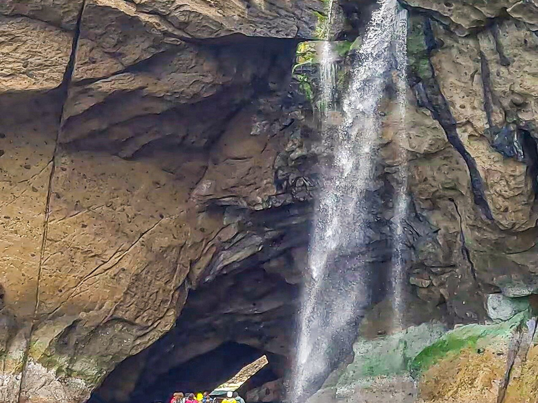 Explore Flores