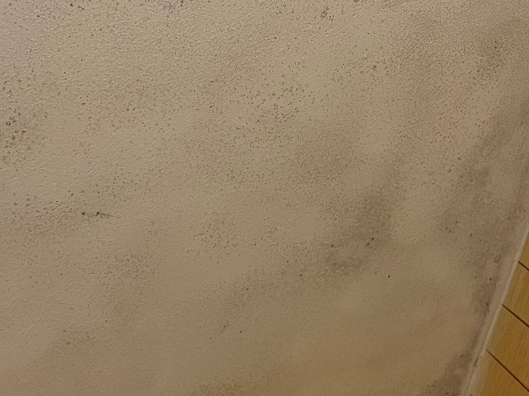 Holiday Inn Express Big Rapids by IHG主图