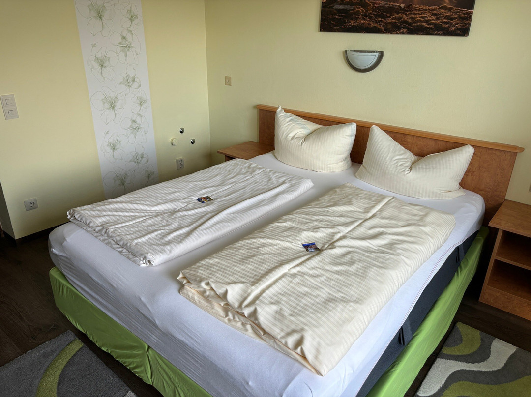 Hotel Alpenblick Berghof主图