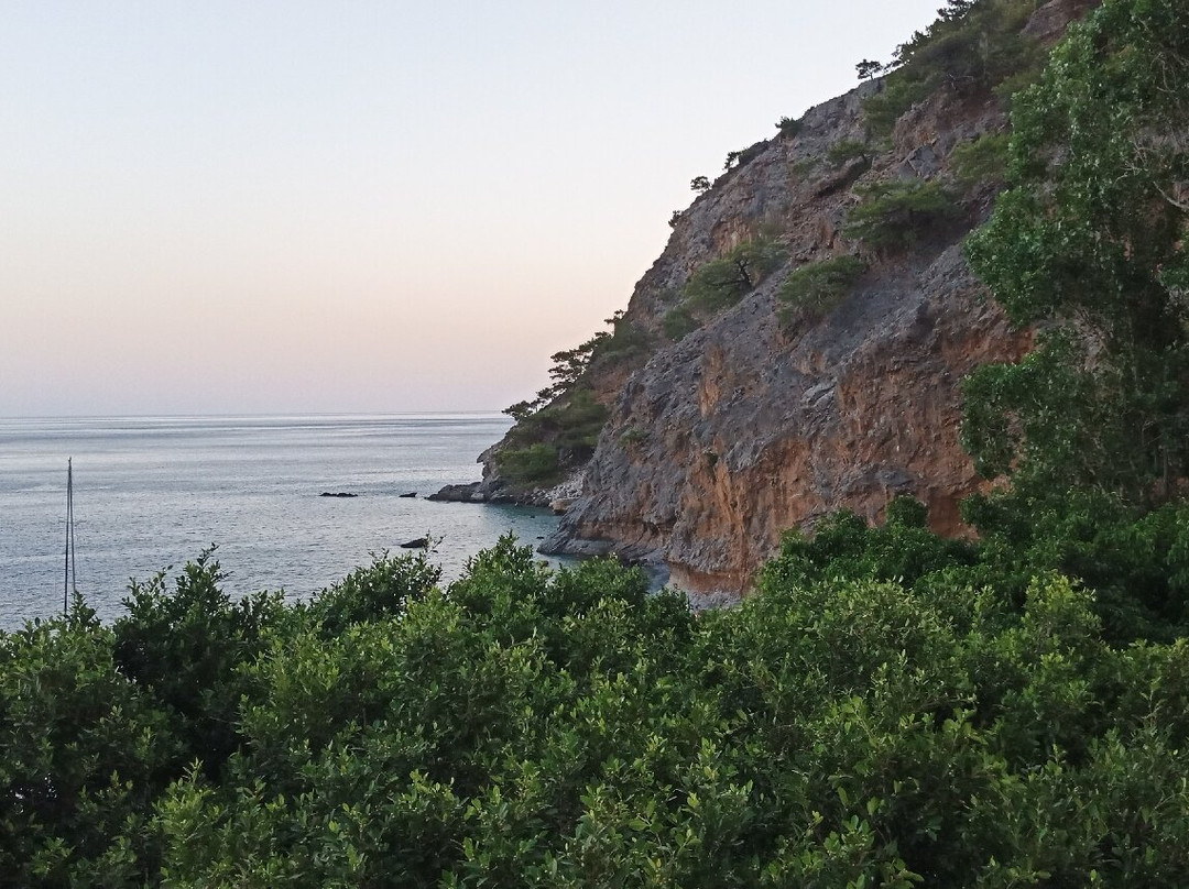 Sweet Corner Masxali主图