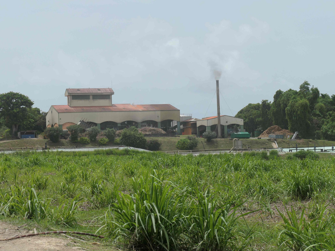 Distillerie Bellevue-Capesterre必去景点