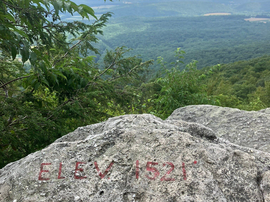 Hawk Mountain Sanctuary景点图片