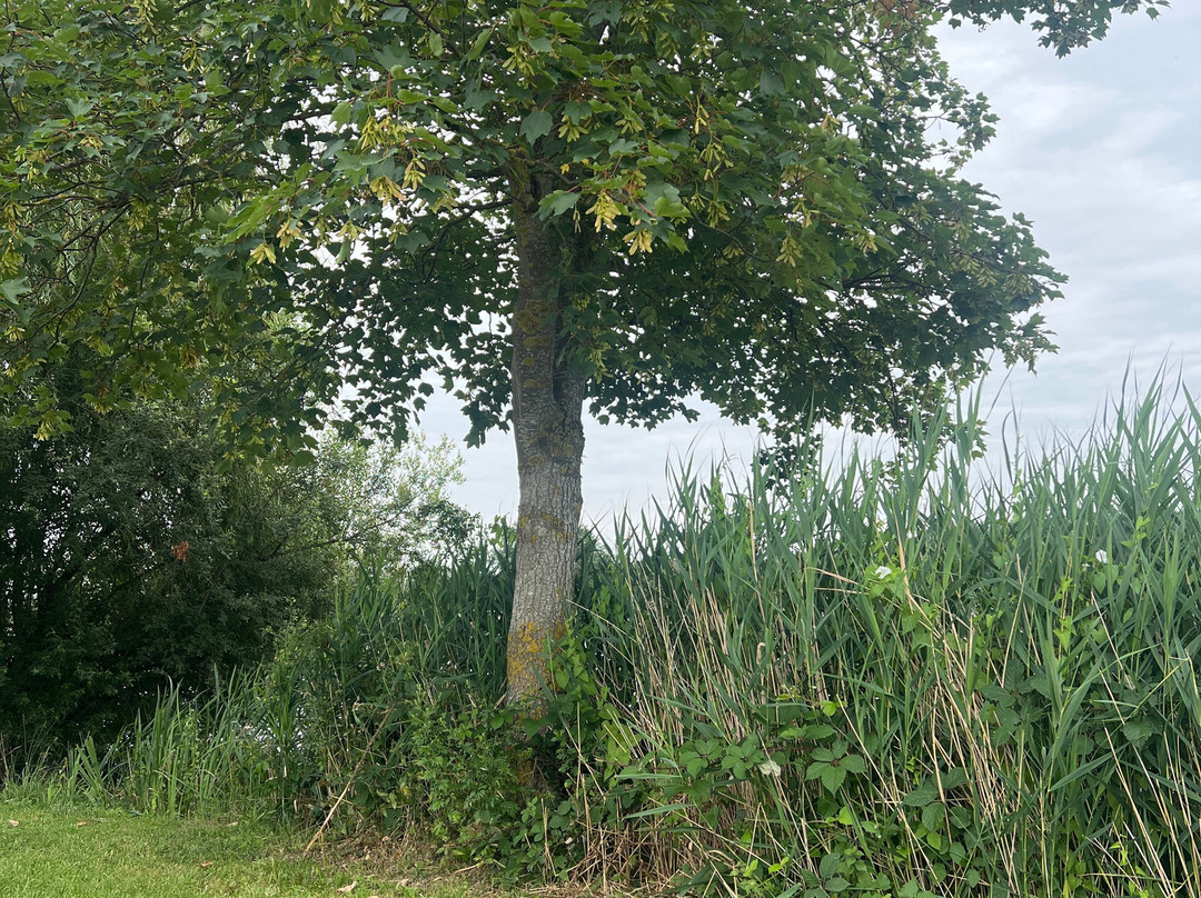 Etang de Sault-Premilhat必去景点