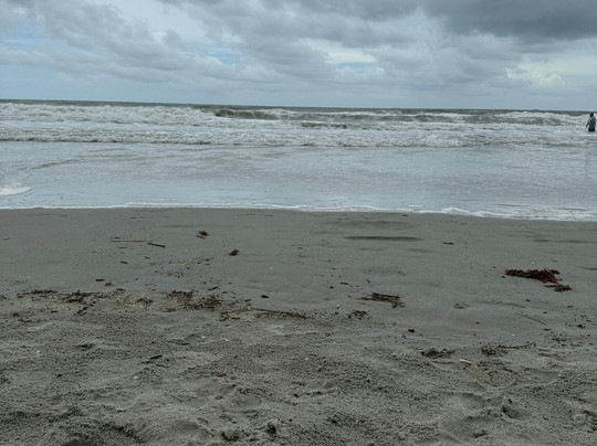 Club Wyndham SeaWatch Resort主图