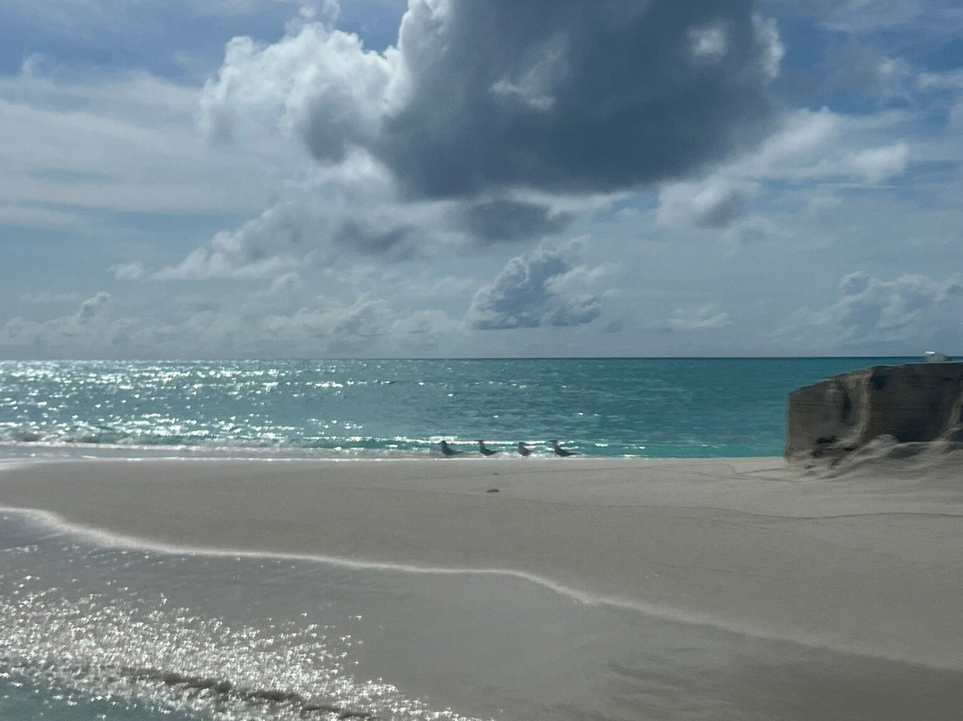 Season Paradise-Thulusdhoo Island必去景点