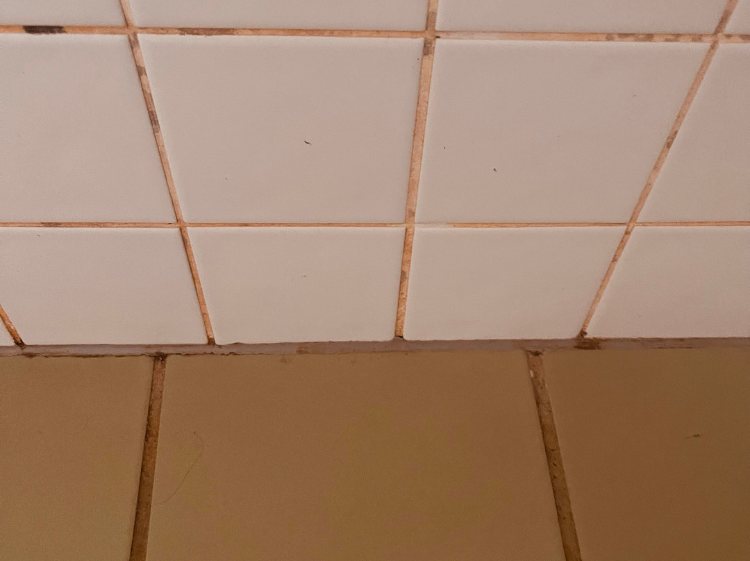 The Lost Camel Hotel主图