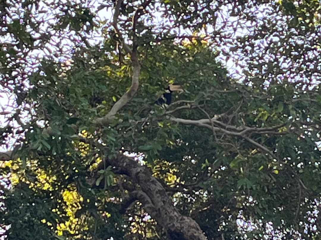 EcoGrip Boathouse-Baddegama必去景点