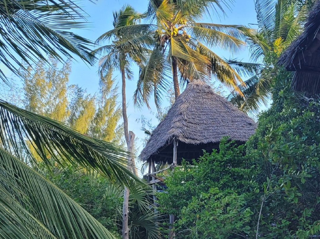 Beach Crab Resort主图