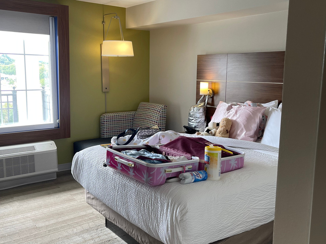 Holiday Inn Express & Suites Pigeon Forge - Sevierville By IHG主图