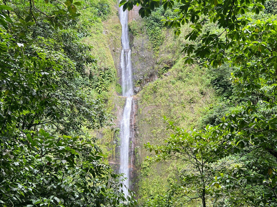 Trace des chutes Moreau-Goyave必去景点