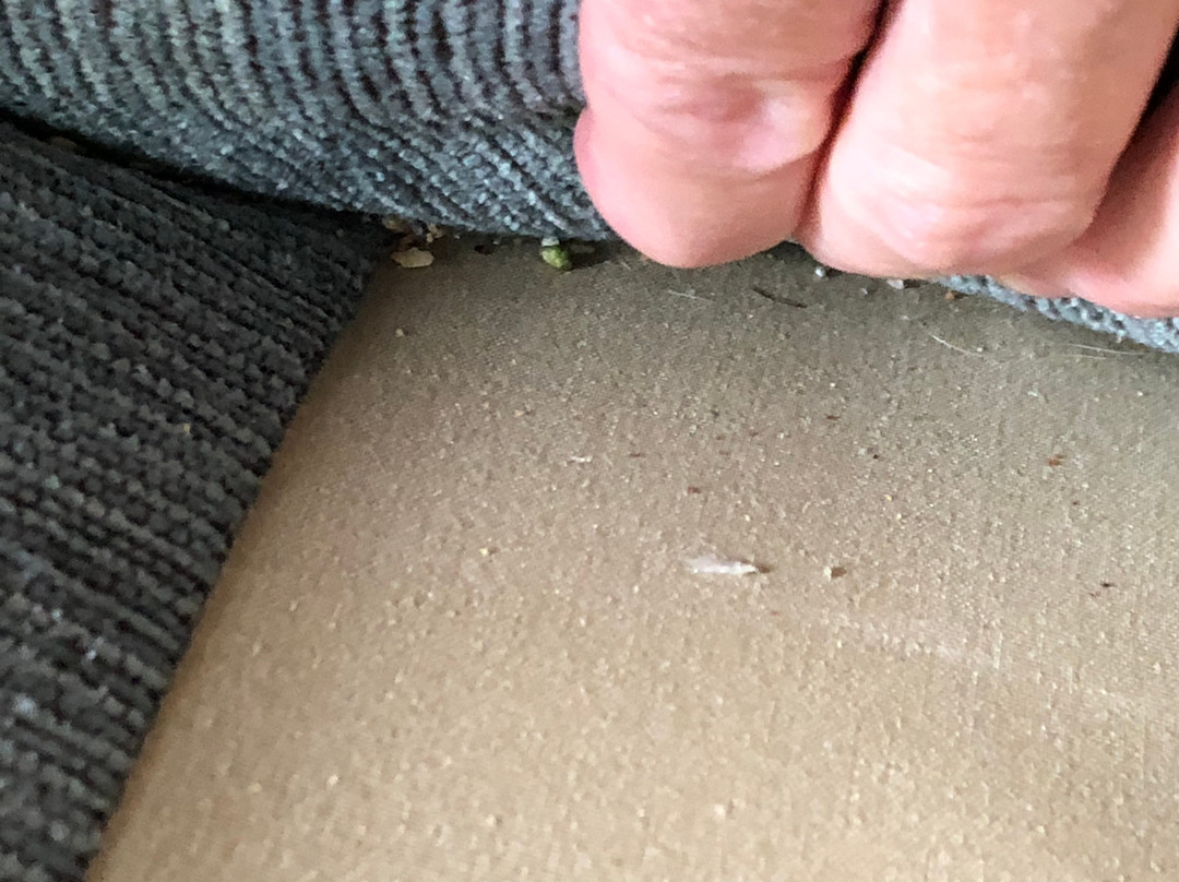 Staybridge Suites Tysons - Mclean By IHG主图