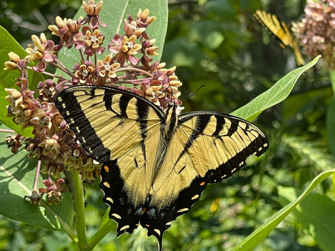 River Bluff Farm Bed & Breakfast主图