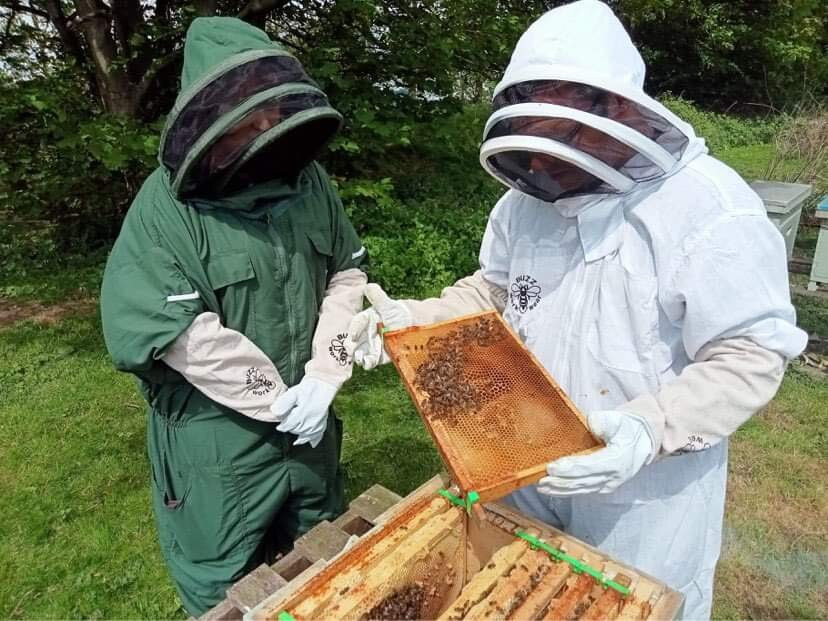 Main's Apiaries-丹弗姆林必去景点