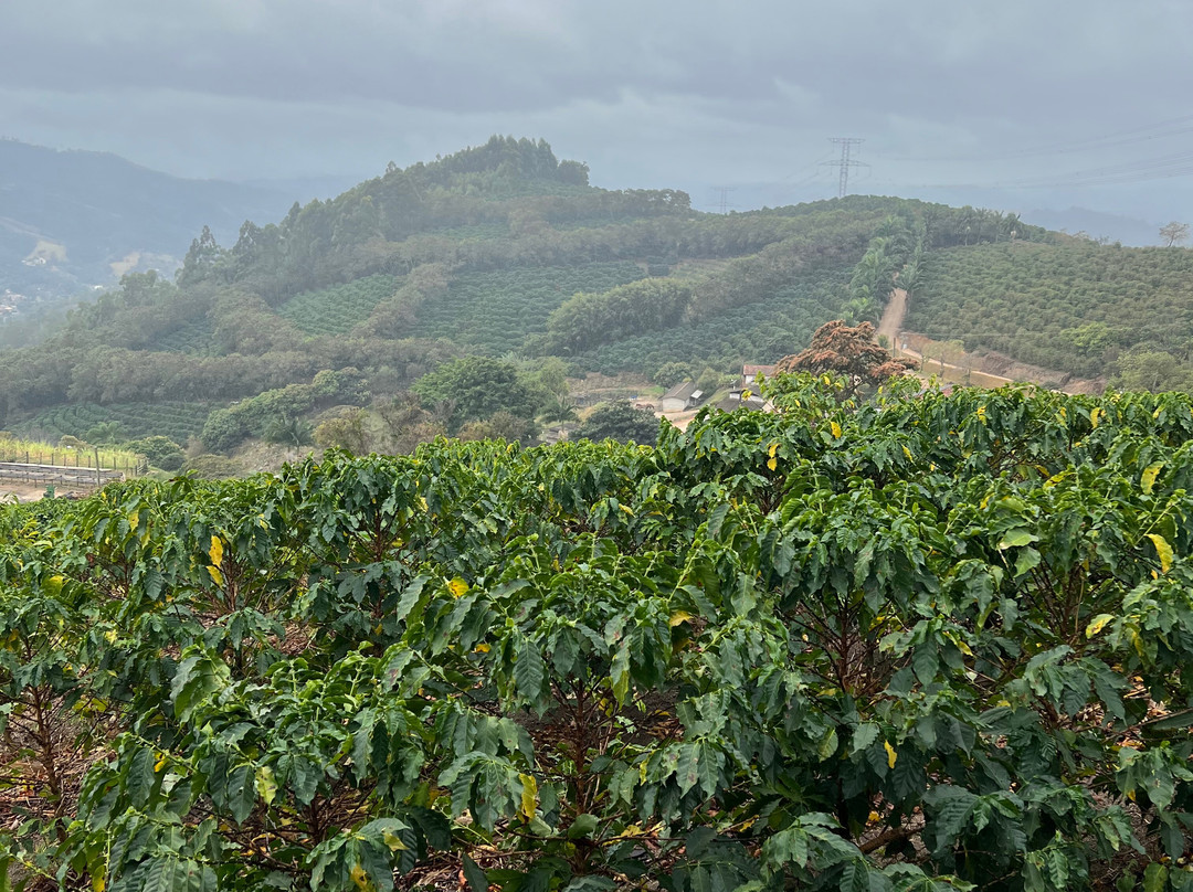 Pegue sua Mochila-圣保罗必去景点