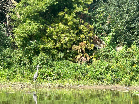 Canoeing The Grand-基奇纳必去景点