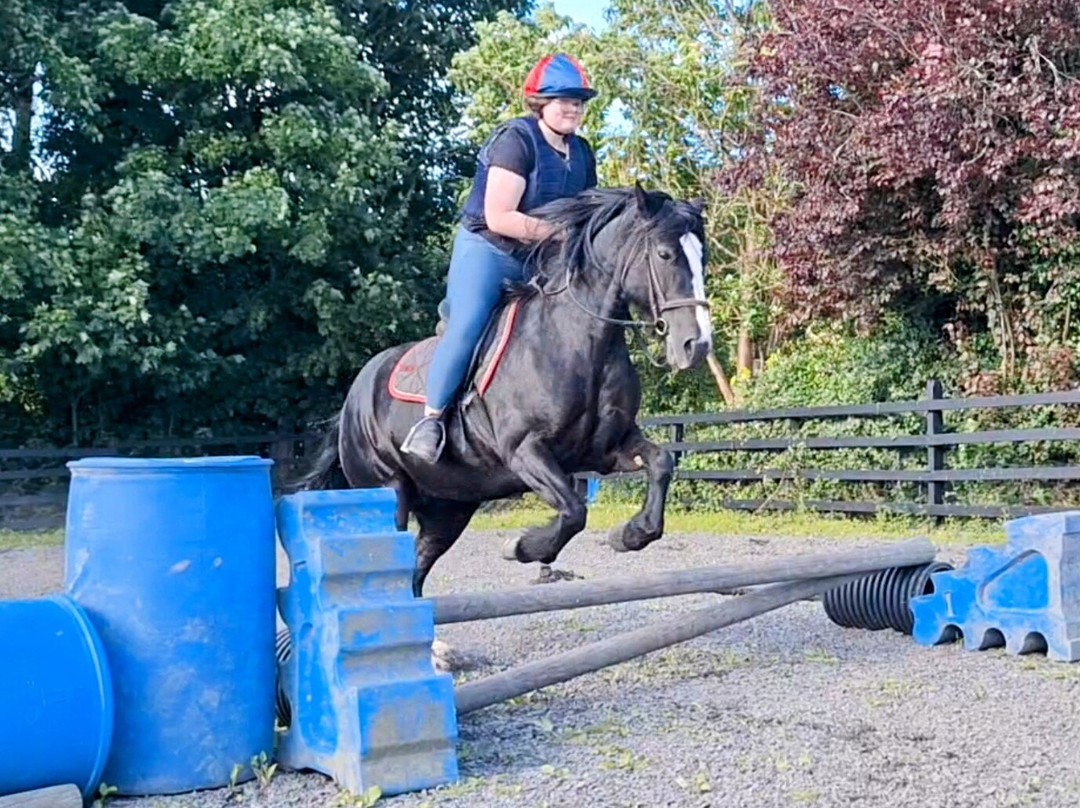 Ballyhoura Horse Trekking-Kilfinane必去景点